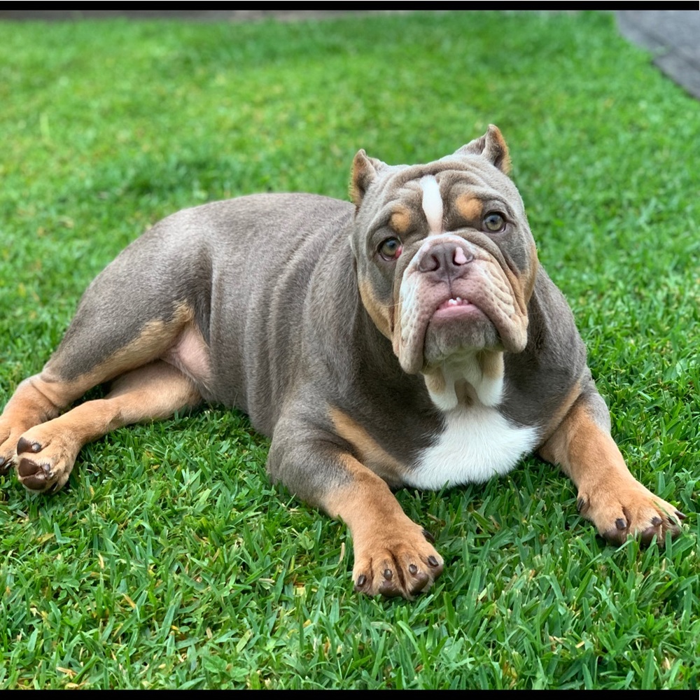 Meet your Posher, Kapua
